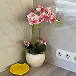 Luxury Sea - Kabalan * 布尔加斯
